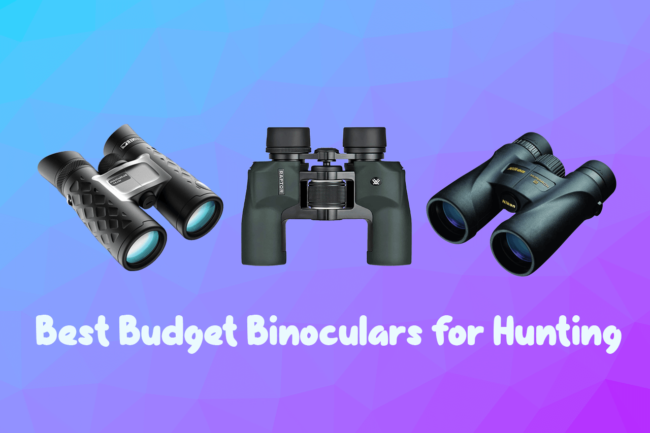 10 Best Budget Binoculars for Hunting in 2024