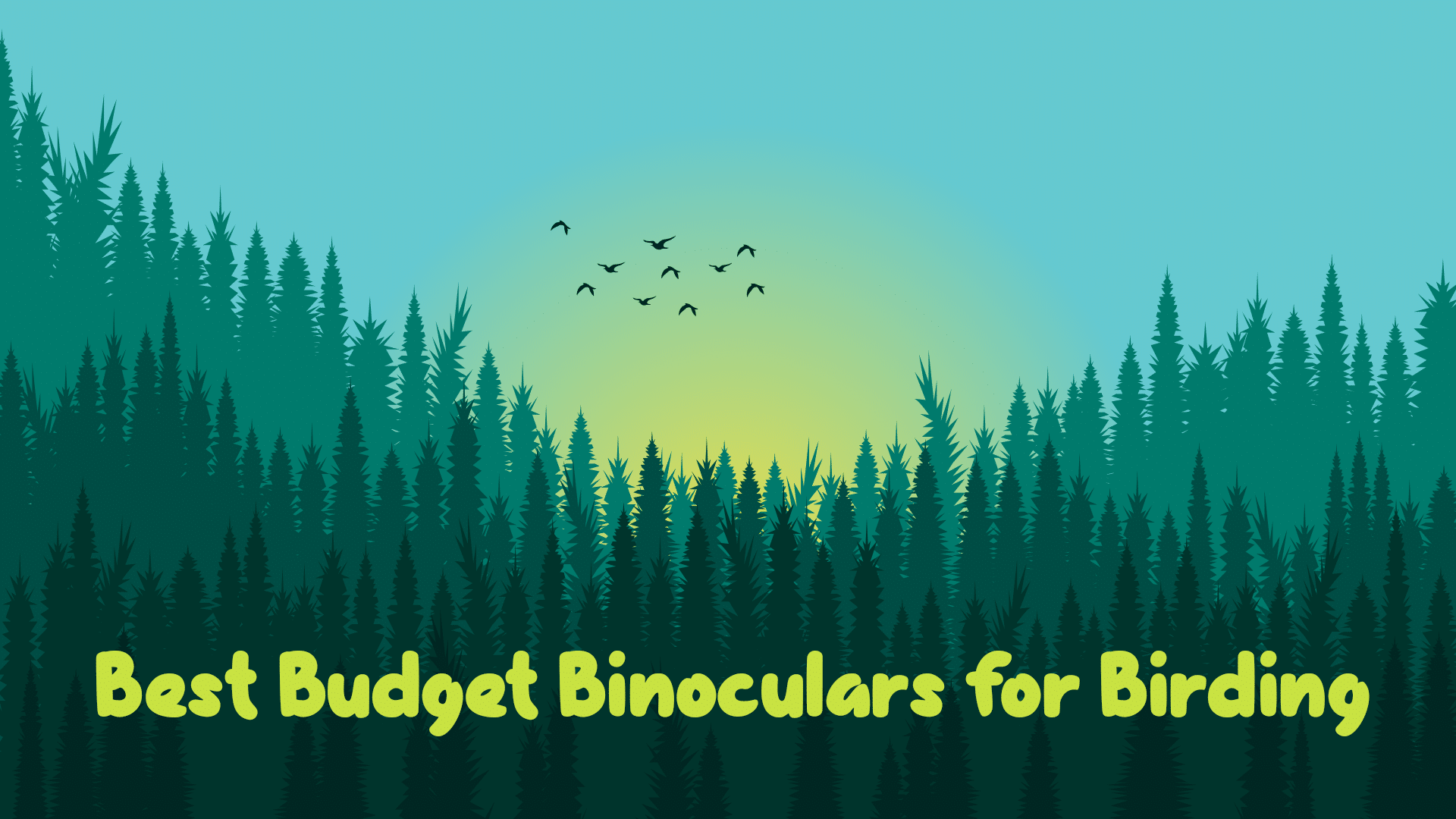 10 Best Budget Binoculars for Birding in 2024