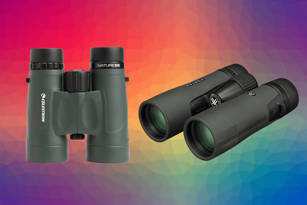 8x42-vs-10x42-binoculars-which-one-to-choose