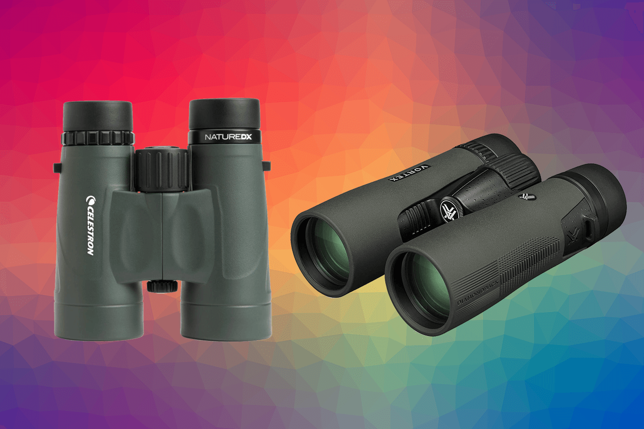 8x42 vs 10x42 Binoculars Which one to choose?