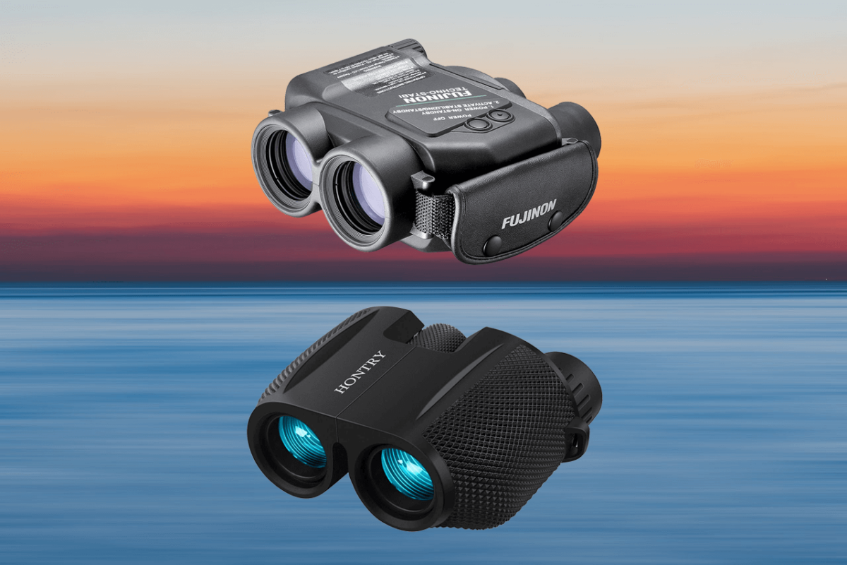 Expensive vs Cheap Binoculars What Should You Choose?