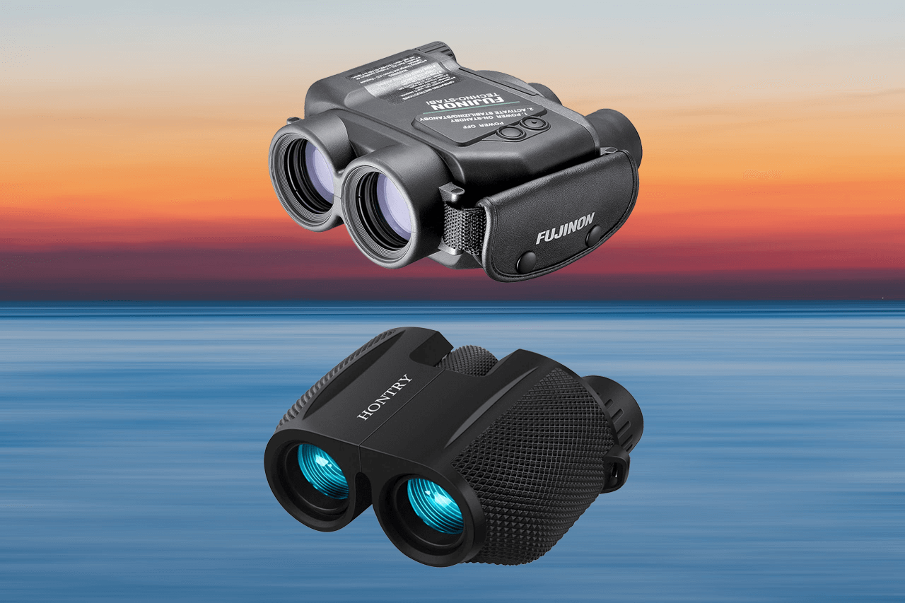 Expensive vs Cheap Binoculars What Should You Choose?