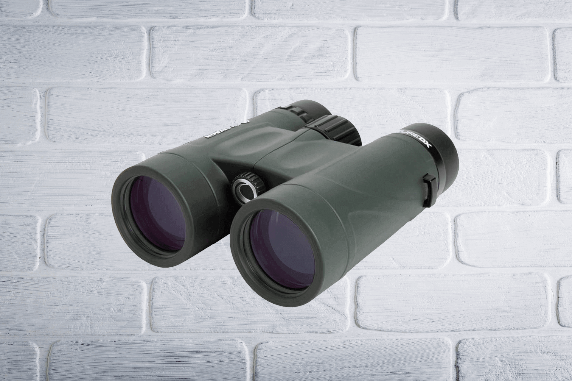 10 Best Budget Binoculars For Birding In 2023