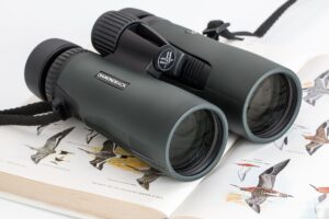 Things to consider before buying budget binoculars for birding