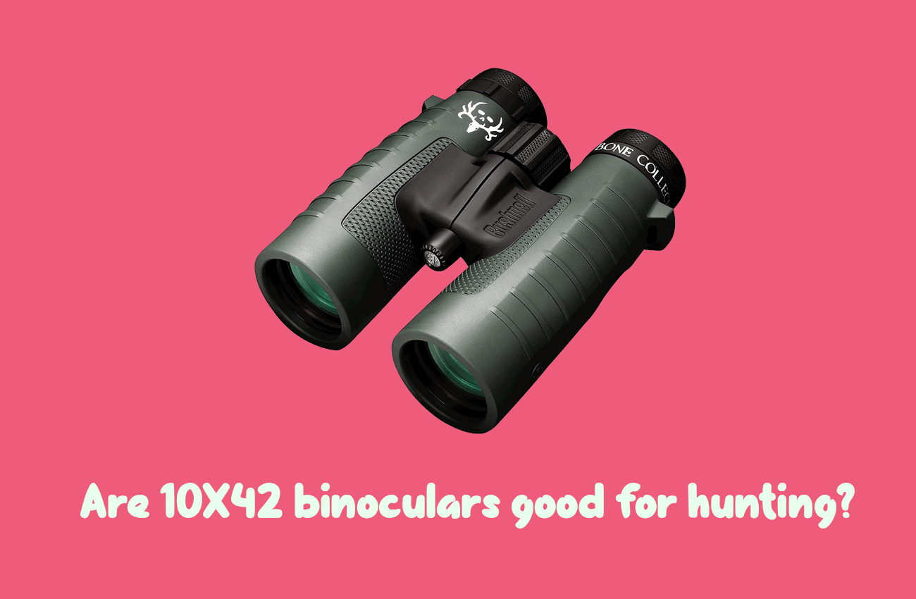 Are 10x42 Binoculars Good for Hunting?