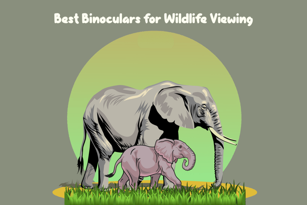 best binoculars for wildlife viewing