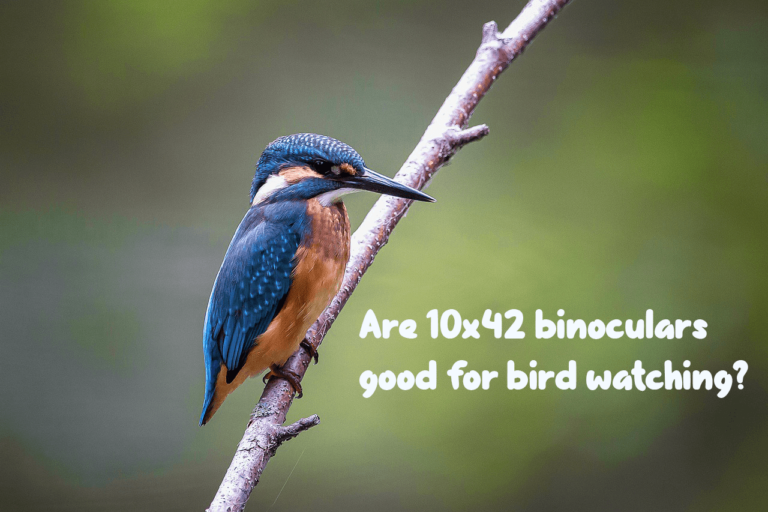 are 10x42 binoculars good for bird watching