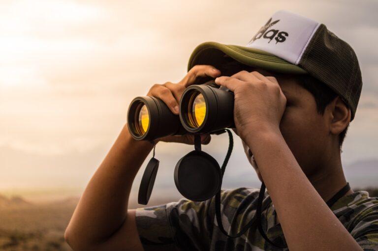 A complete guide to birding with binoculars