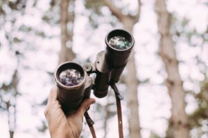 2.what does image quality mean in binoculars