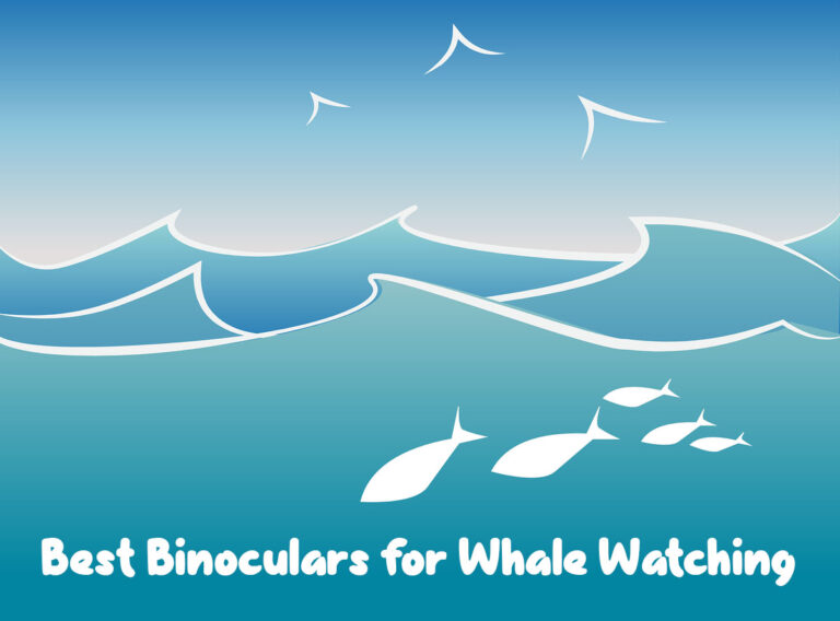 best binoculars for whale watching