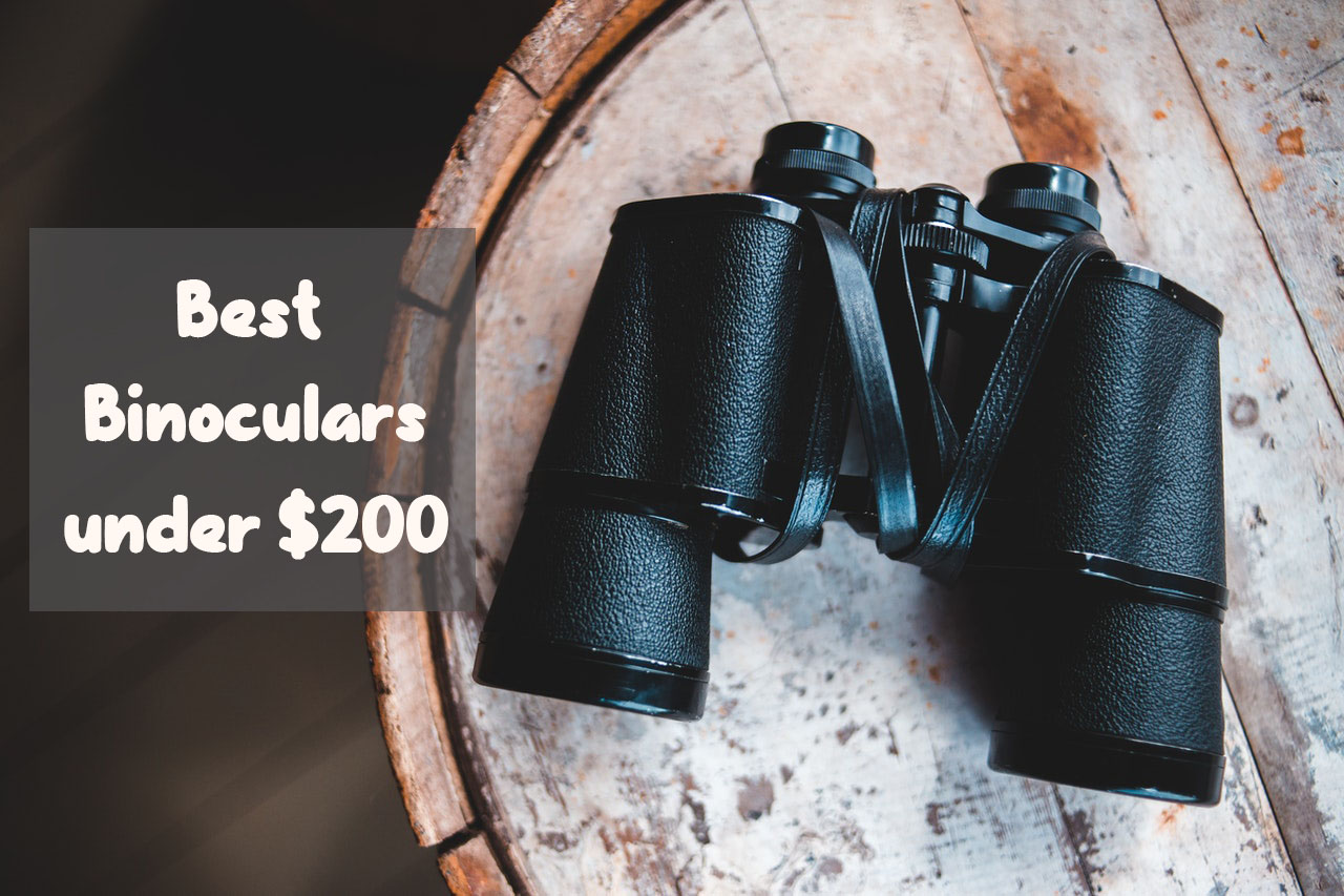 10 Best Binoculars under 200 in 2024