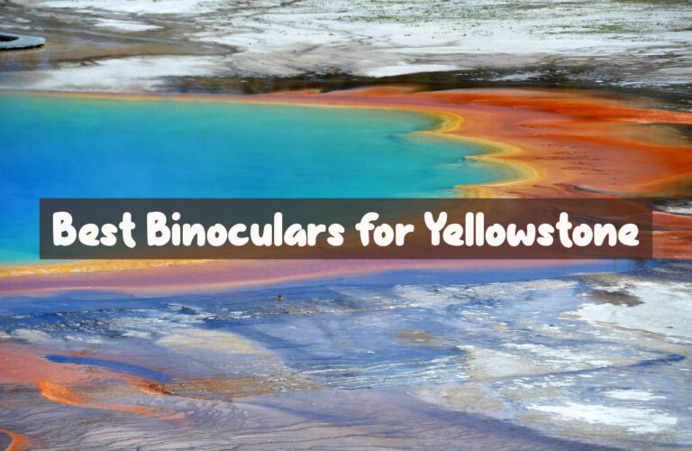 best binoculars for yellowstone