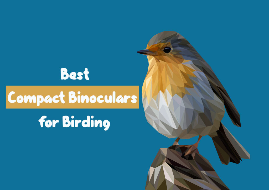 10 Best Compact Binoculars for Birding in 2023