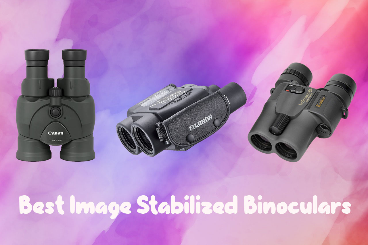10 Best Image Stabilized Binoculars in 2024