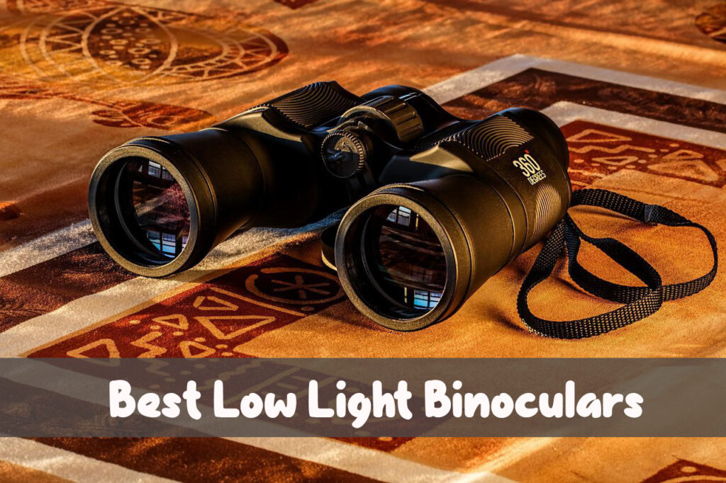 10 Best Low Light Binoculars in 2023