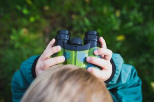 Are binoculars under $200 good for wildlife viewing