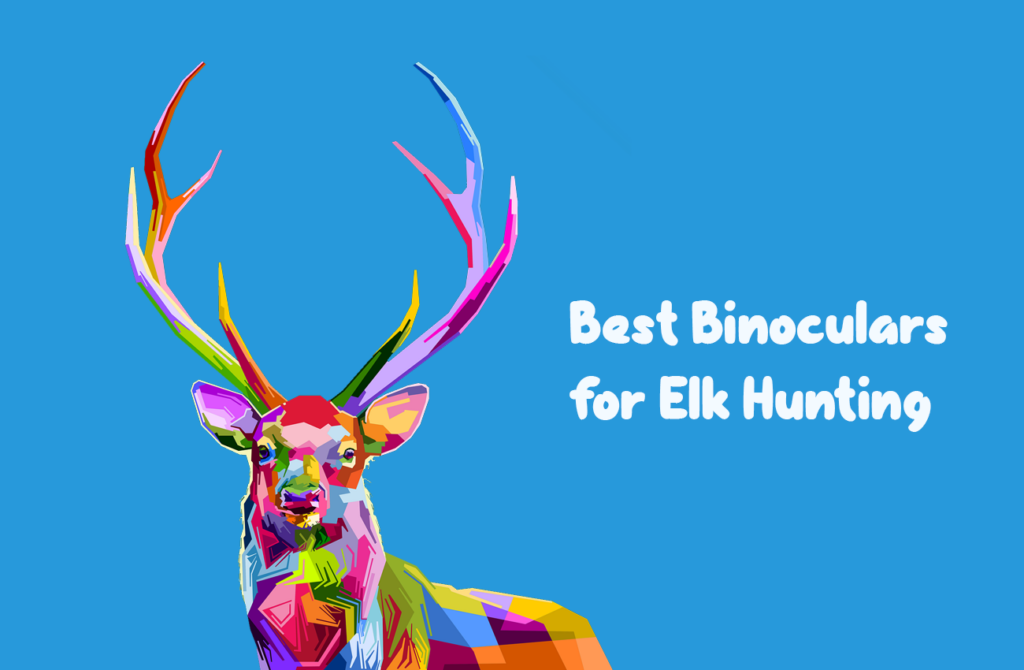 10 Best Binoculars for Elk Hunting in 2023