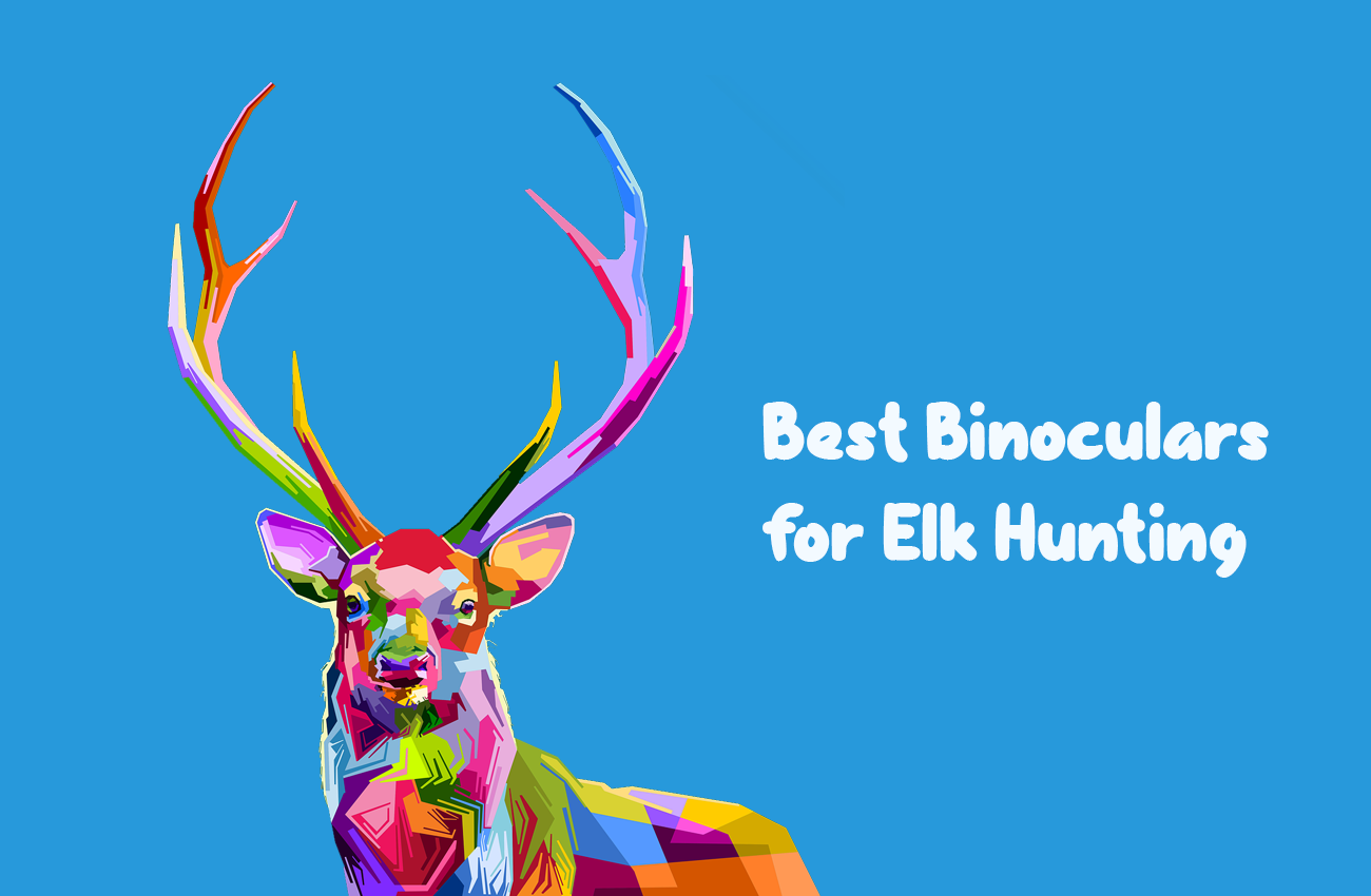 10 Best Binoculars for Elk Hunting in 2024