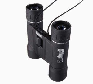 best binoculars for glasses wearers