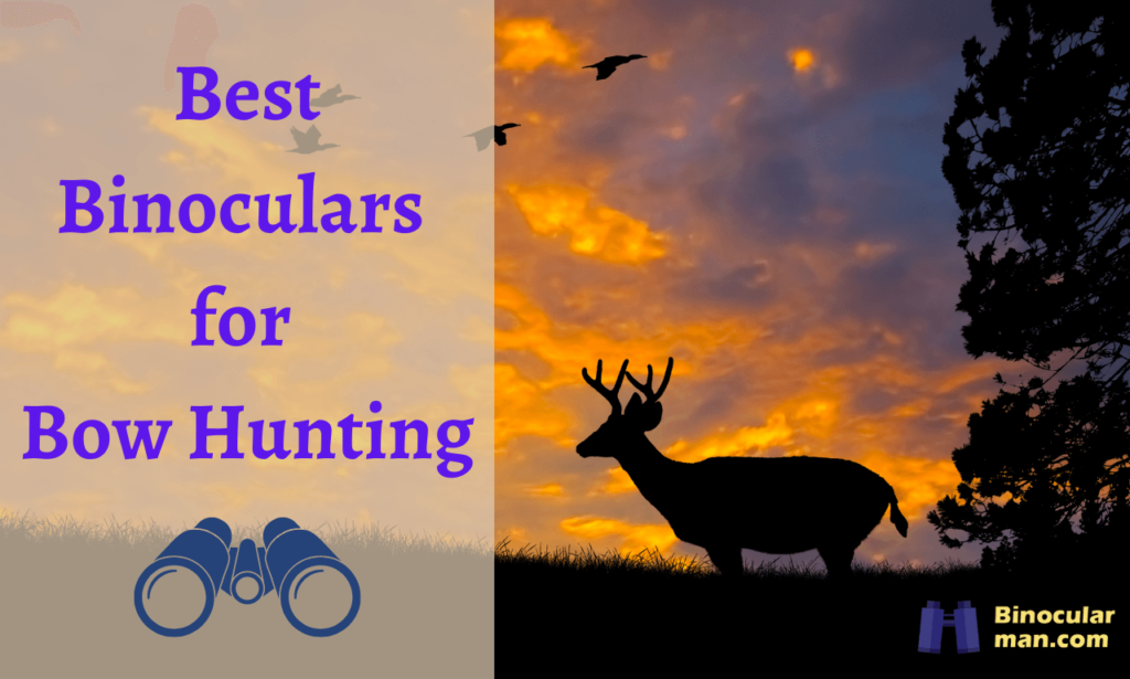 10 Best Binoculars for Bow Hunting in 2023