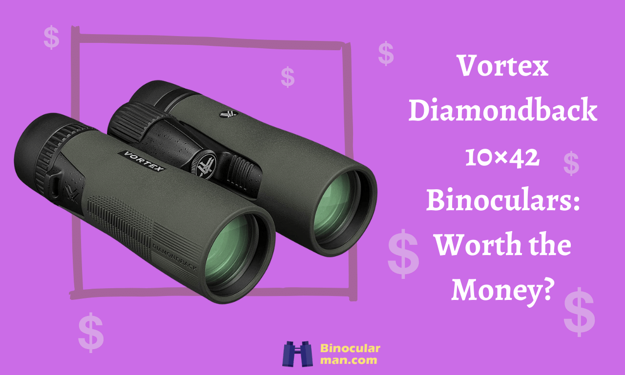 Vortex Diamondback 10x42 Binoculars Worth the Money?