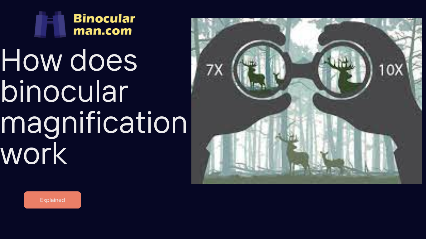 How Does Binocular Magnification Work?