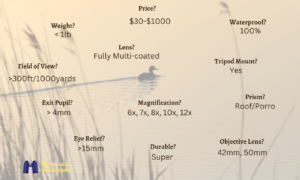 Things to Consider Before Buying Binoculars for Duck Hunting