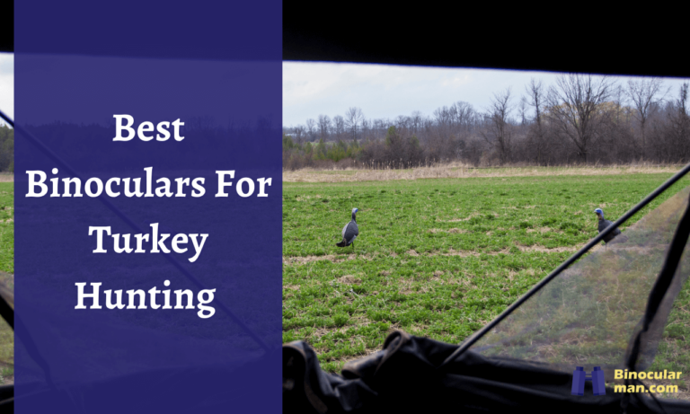 best binoculars for turkey hunting