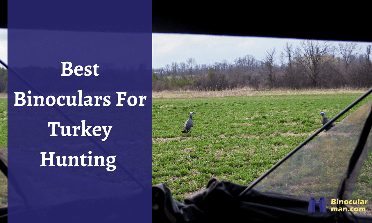 5 Best Binoculars for Turkey Hunting in 2024