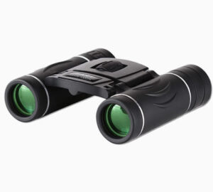 Best binoculars for concerts