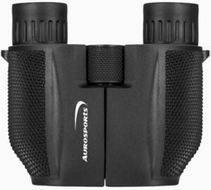 Best binoculars for concerts