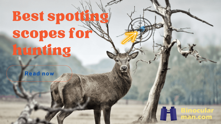 Best spotting scopes for hunting