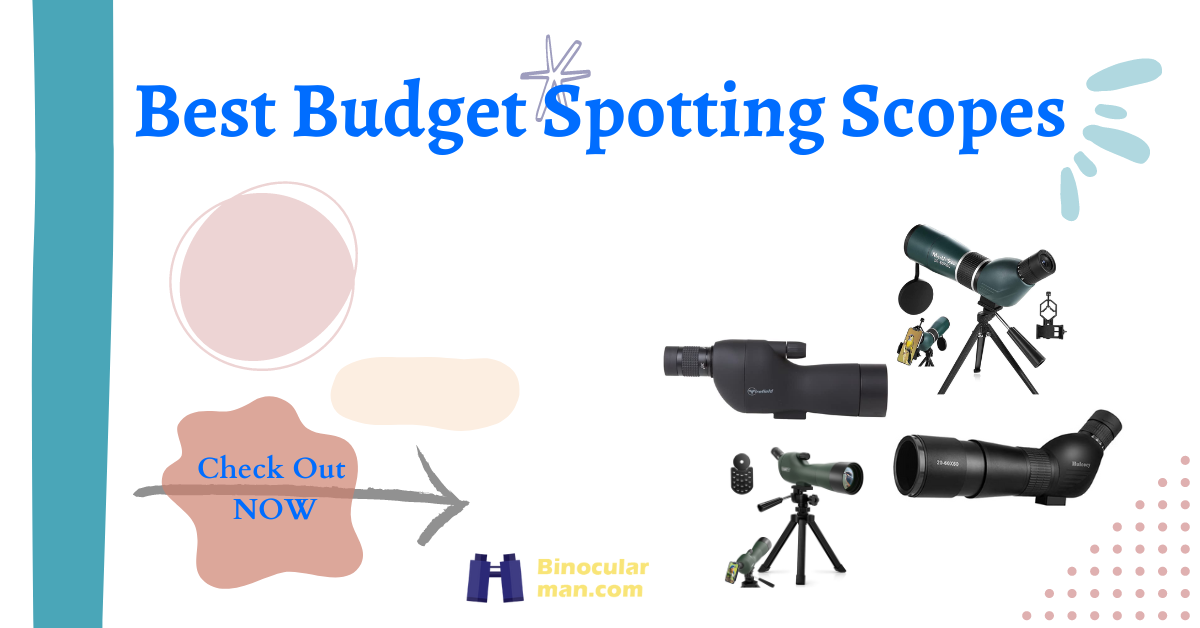 7 Best Budget Spotting Scopes in 2024