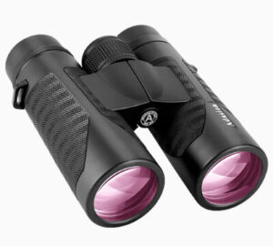 best binoculars with smartphone adapter