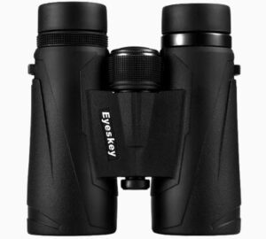 best binoculars for long distance viewing