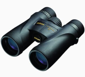 best binoculars for bow hunting