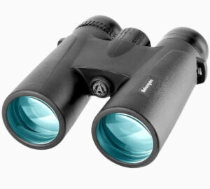 best low light binoculars