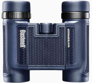 best compact binoculars for birding