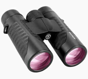 Best binoculars under 100