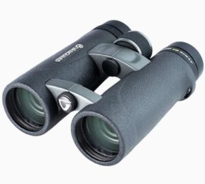 best budget binoculars for hunting