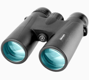 best binoculars for wildlife viewing