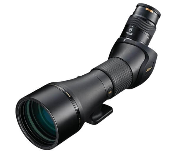 Best spotting scopes for birding