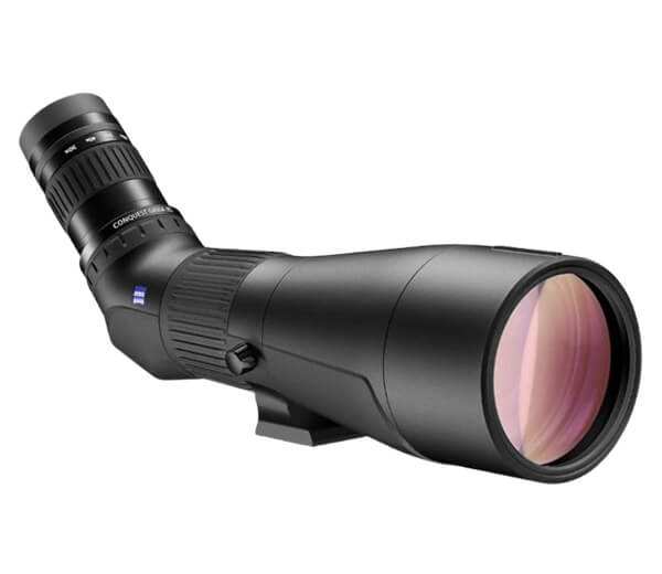 Best spotting scopes for birding