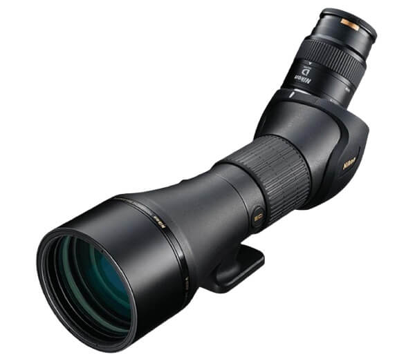 Best spotting scopes for digiscoping