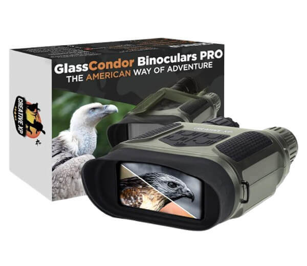 Best night vision binoculars for camping