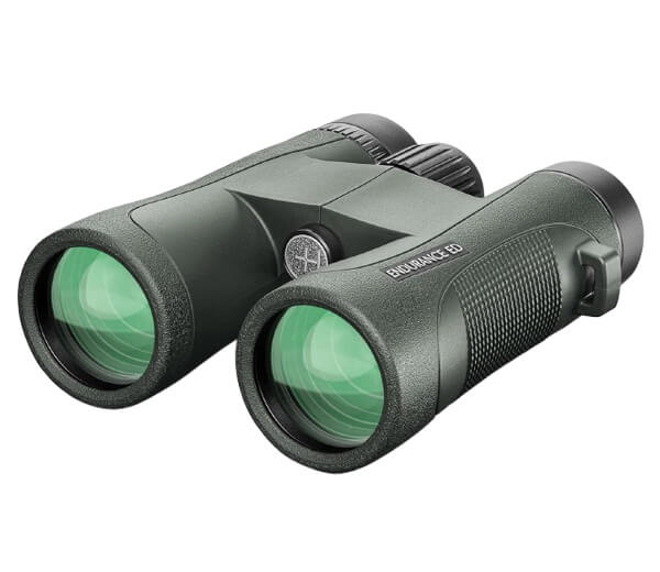 Best binoculars for 100 yards
